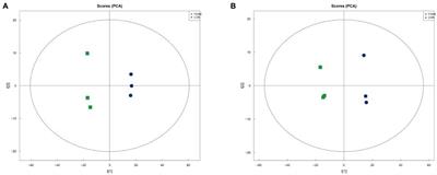 Fermented grape seed meal promotes broiler growth and reduces abdominal fat deposition through intestinal microorganisms